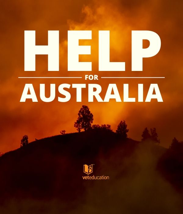 Pray for Australia - VE